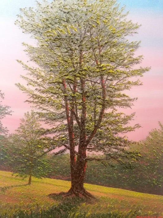 Quadro Pino dell'Himalaya Gene Pompa